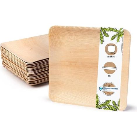 10 assiettes jetables, carrées en feuille de palme, biodégradables, 23x23 cm, pour événements et repas adultes
