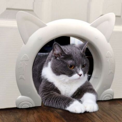 Chatière Pour Chat - Ouverture 17,5 cm x 3,5 cm - Compatible Portes Creuses Et Pleines - Épaisseur De Porte 2 À 4,5 cm - ABS - 1 Pièce (1/5)
