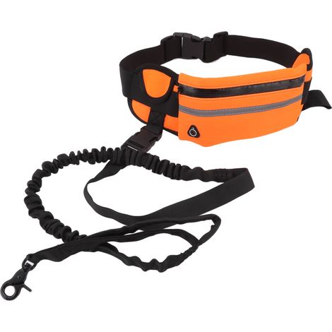 Laisse mains libres pour chien, sac banane, laisse élastique en nylon, idéale pour les promenades et les courses nocturnes, orange. (1/5)