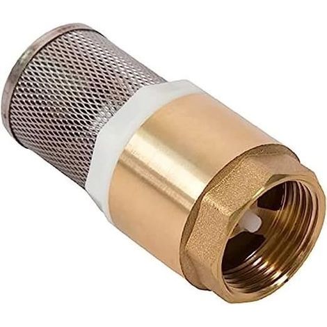 1 Check Valve with Strainer, Pump Check Valve