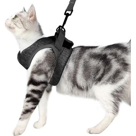 Bequemes, atmungsaktives und ausbruchsicheres Katzengeschirr mit starkem und verstellbarem Klettverschluss (Größe M). (1/5)