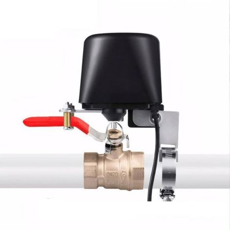 Vanne eau Smart WiFi Contrôle d'eau Télécommande via Tuya Smart Life Alexa Compatible Aucun hub requis (1/5)