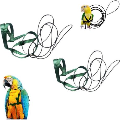 Lot de 2 laisses pour perroquet - Laisse d'entraînement pour perroquet - Ceinture pour perroquet - Laisse pour oiseau - Verte - Ceinture pour perroquet - Laisse pour petit oiseau - Laisse d'entraîneme (1/5)