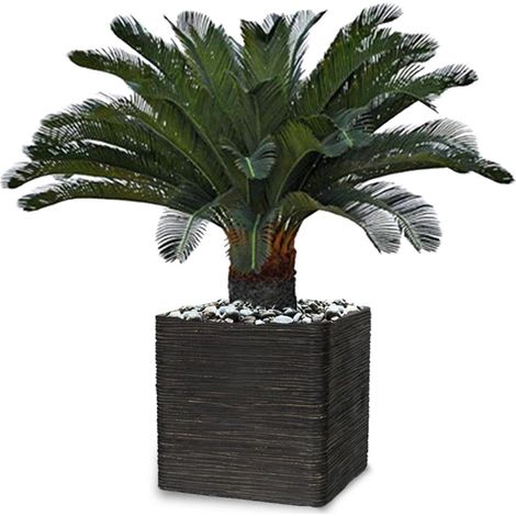 Palmier Cycas artificiel sur pied H 100 cm superbe - dimhaut: H 100 cm - couleur: Vert (1/3)
