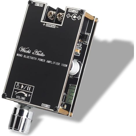 Carte d'amplificateur Bluetooth mono ZK-1001B avec puce TPA316D2, entrée à large plage de tension 12-24 V, puissance de crête 100 W, avec fonction d'appairage TWS, noir (ZK-100 (1/5)