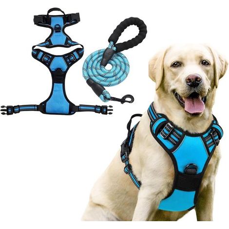 Set trasportino e guinzaglio per cani. Trasportino riflettente e traspirante. Trasportino regolabile, comodo e morbidamente imbottito, ideale per la zona ovest. (1/5)