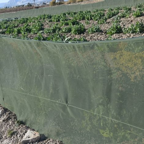 Rete frangivento verde 2 x 100 m  Rete protettiva per colture, frutteti e giardini  Riduce l'impatto del vento (1/5)