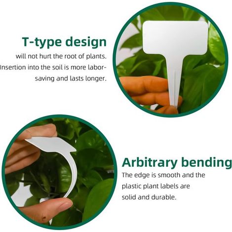 Etichette per piante - 100 pezzi - Paletti per piante - Etichette per paletti - PVC - Cartelli per orto - Etichette - per orto / giardino delle erbe aromatiche - 10 x 6 cm - Bianco (1/4)