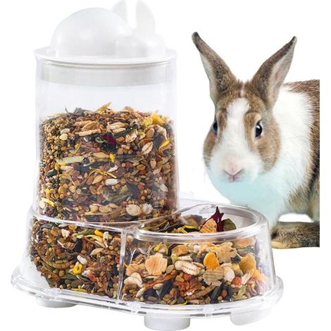Distributeur de Nourriture pour Petits Animaux Distributeur Automatique pour Hérissons (1/5)