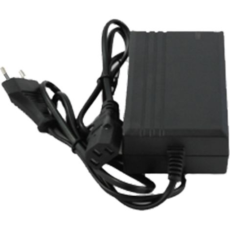 Carica Batteria Lif 230V 1 1,2A per Batteria Piombo