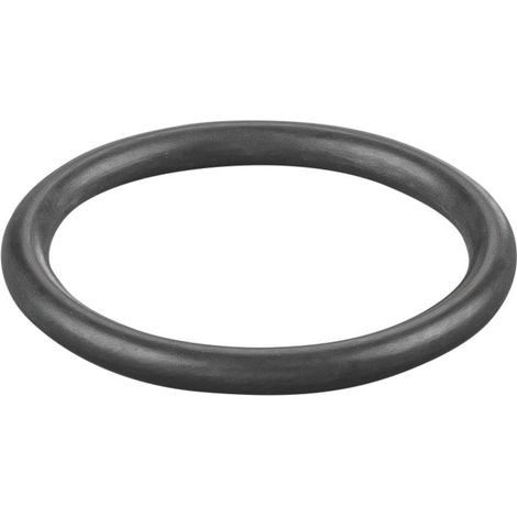 Rems O-Ring 060306