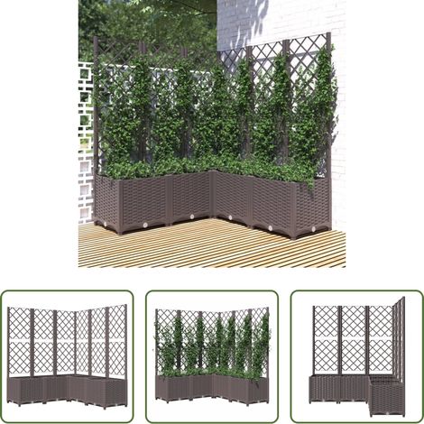 Rankgitter -  Pflanzkübel mit Rankgitter Braun 120x120x136 cm PP (1/5)