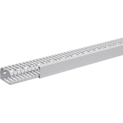 Tehalit Verdrahtungskanal 60x40mm BA7 60040 gr 2 Stk