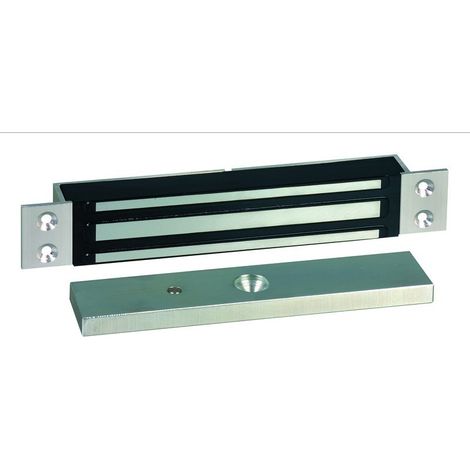 Ventosa da incasso SEWOSY 300 DaN - Serie EF300ENC