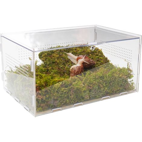 Kit de terrarium pour escargots avec accessoires d'escalade - 29 x 20 x 15 cm (L x l x H) - Maison transparente pour petits animaux pour escargots, chenilles et petites créatures - Comprend