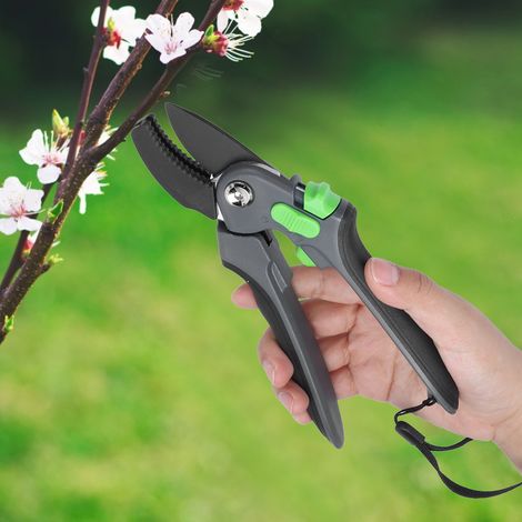 Gartenschere aus Stahl – Arbeitssparendes Schneidewerkzeug für Obstbaumzweige (1/5)
