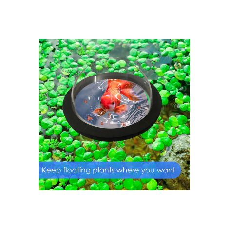 2 dômes flottants EVA pour bassin – Nourrisseur en acrylique – Observation des poissons dans jardin aquatique et étang