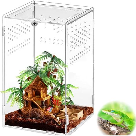 Terrarium phasme, Boîte à Nourrir en pour Reptiles, Ensemble de récipient en Acrylique d'insecte, Habitat Portable(12 12 20cm) (1/5)