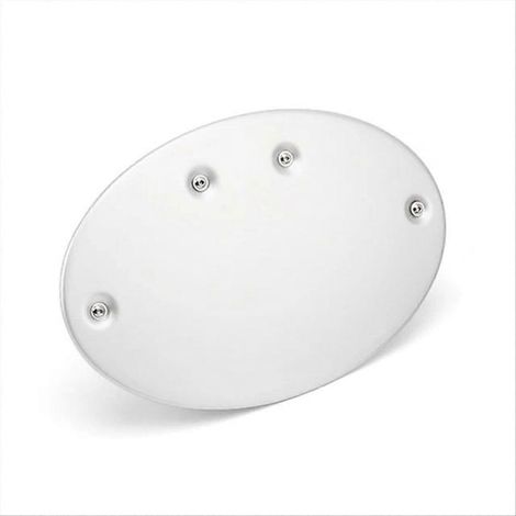 Protection de plaque d'immatriculation latérale argentée pour moto (droite) (1/5)