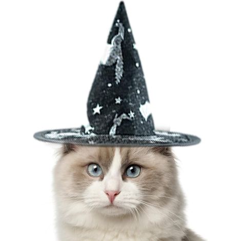 Cat Halloween Hat Witch Pet Halloween Costumes Mesh Hat with (1/5)