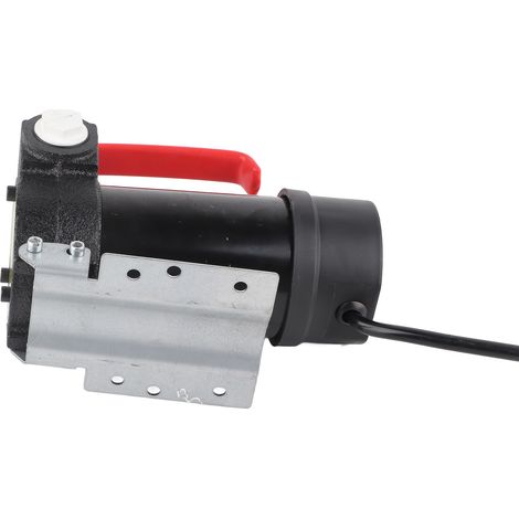 12V 40L/min selbstansaugende Dieselkraftstoffpumpe, tragbarer Ölumfüller, G3/4-Ausgang für 1-Zoll-Schlauch (1/5)