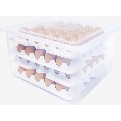 Boîte à Oeufs GN 2/3 pour 120 Oeufs - 8 Alvéoles - Gilac (1/3)