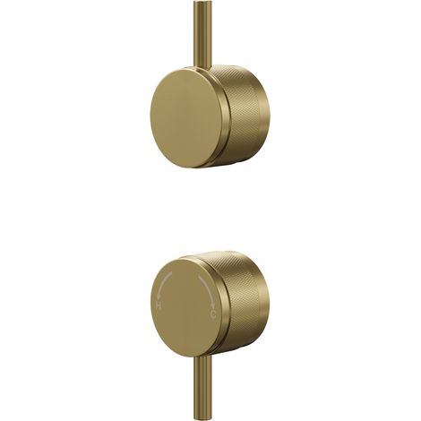 Colore Brushed Brass Industrial Style Half Knurled Control Handle Set for Twin Shower Valve (1/5)