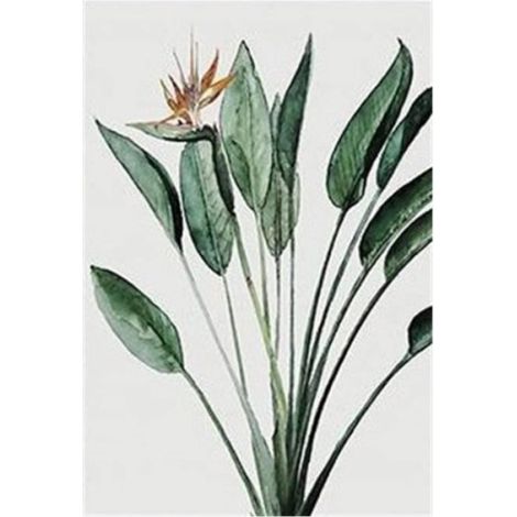 Lot de 3 posters muraux, feuilles vertes, tableaux muraux, peintures sur toile, sans cadre, nature, posters muraux, 50 x 70 cm (1/4)