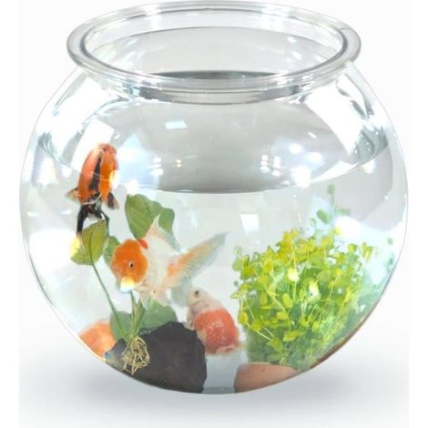 Aquarium rond transparent de 4 litres pour poissons bettas 1 unité Plastique PET Design rond 1 unité (1/5)