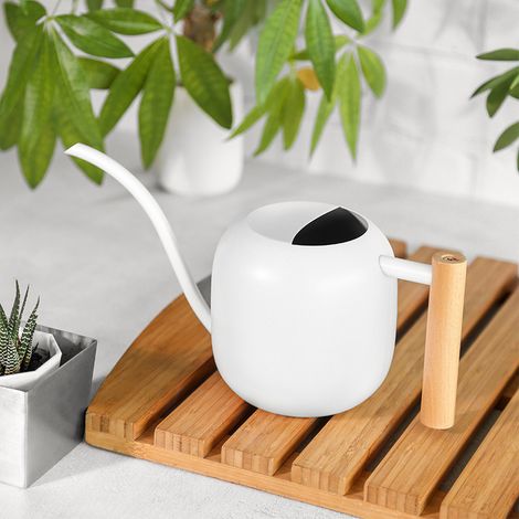 Arrosoir Acier Inoxydable 1200ml Arrosoir pour Plantes d'Intérieur Petit Arrosoir à Long Bec Arrosoir Métallique Plante Interieur Petit Arrosoir pour (1/4)