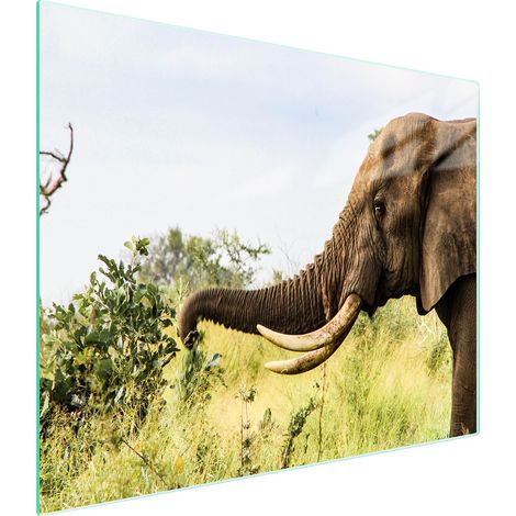 Planche à découper en verre 52x30 éléphant (1/5)