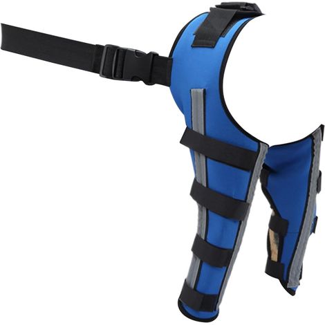 Attelle De Genou pour Chien - Support Articulé Réglable - Attelle de (1/5)