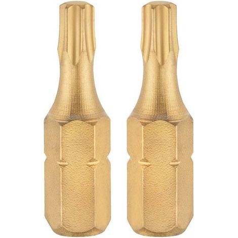 Connex Bit TX 20 Titan-Nitrid 2 Stück Bits