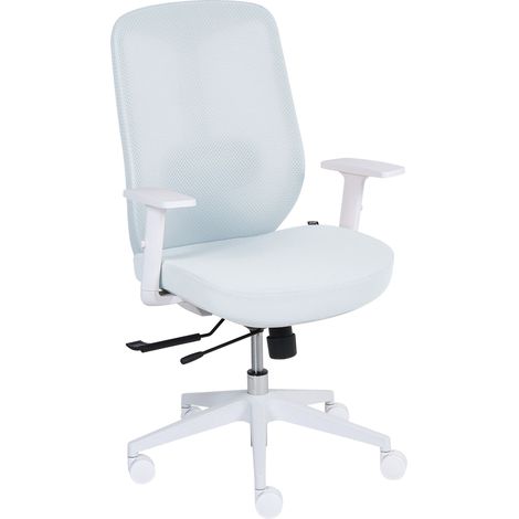 Office Chair Light Blue Mesh Fabric with Lumbar Support Adjustable Armrests Sliding Seat ZELAR (1/5)