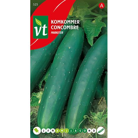 Concombre Marketer - Ca. 1 gr (Livraison Gratuite) (1/2)