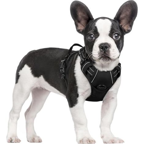 Arnés antitirones para perros, Ajustable y transpirable, Con franjas reflectantes para un control seguro, Negro Talla S, 1 unidad (1/5)