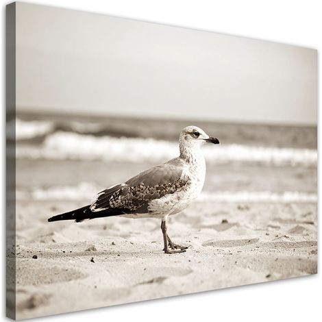 Tableau déco Mouette oiseau mer plage nature 90x60 (1/4)
