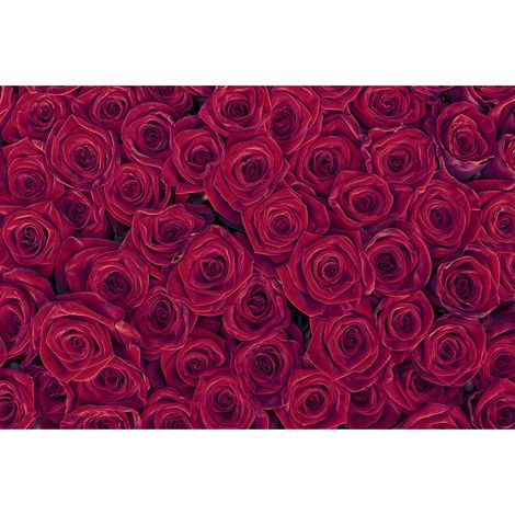 Papier peint panoramique floral rose rouge | Tapisserie panoramique 3D fleurie romantique | Papier peint panoramique salon & chambre adulte - 267 x 400 cm (4 pièces) (1/2)
