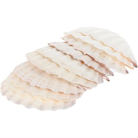 Seashell Dishes 12 Pieces 10 13 cm for Baking and Barbecuing (1/5)