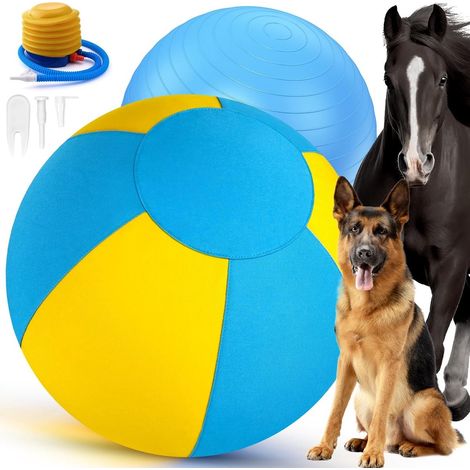 Palla da pastore da 45 cm per cani, palla da pastore per pastori australiani, giocattolo da pastore per cani di taglia media e grande – per giocare e addestrarsi all'aperto (1/5)