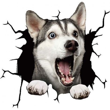 (A) Autoaufkleber mit Hund, Lustige Autoaufkleber mit Hund, Personal