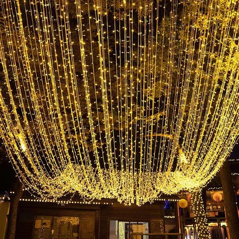 100M 1000 LED Lichterketten Karneval Hochzeit Outdoor Indoor Gartenbeleuchtung (Warmweiß) (1/5)