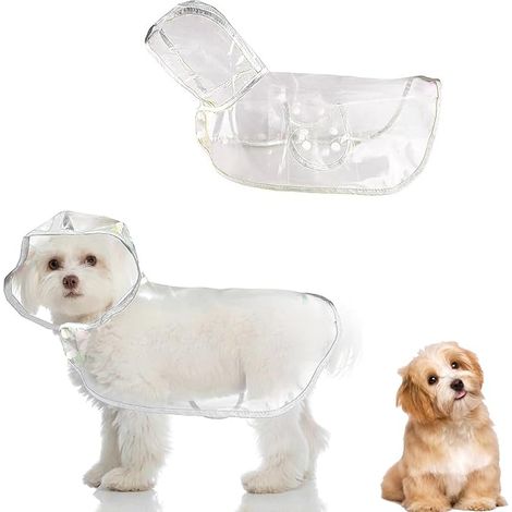 Imperméable Animaux de Compagnie, Chien Capuche Transparent Chien Poncho, Chiens (Blanc,M) (1/5)