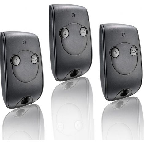Pour 1841026 - Télécommande NS 2 canaux 433,42 MHz commande 2 moteurs pour portails et portes de garage (1/5)