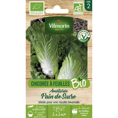 Vilmorin Chicoree Pain De Sucre bio