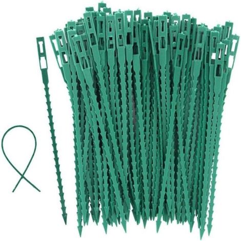 100 tuteurs à tomates, arbres et attaches de jardin - Attaches en plastique réutilisables pour le jardinage, vertes (1/3)