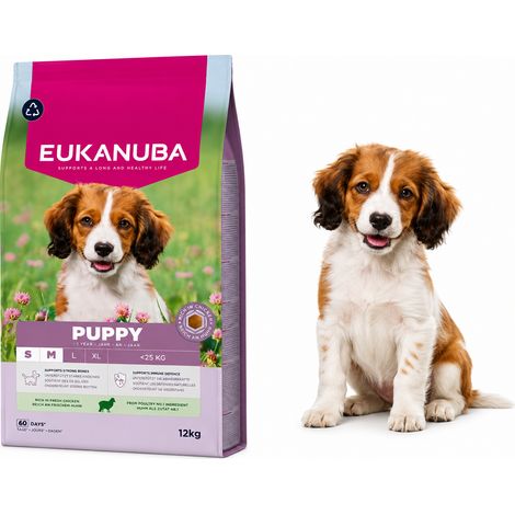Eukanuba Puppy Junior Small Medium Agnello Riso Cibo Secco 12kg (1/2)