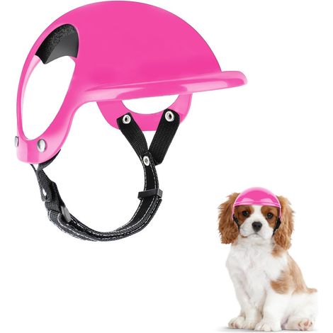 1 casque pour animal, abs léger, mentonnière réglable, protection solaire, chien chat extérieur (1/5)