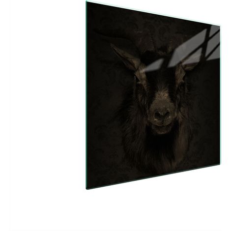 PLACA PROTECTORA DE VIDRIO PARA ESTUFA 50x52 KOZA (1/5)