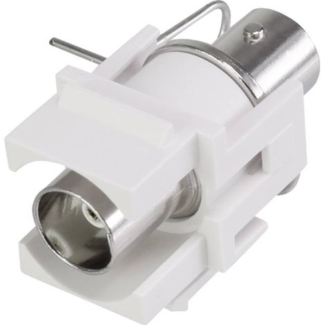 MODULE BNC ENCASTRABLE KEYSTONE RENKFORCE RF-3434002 1 PC(S) (1/3)